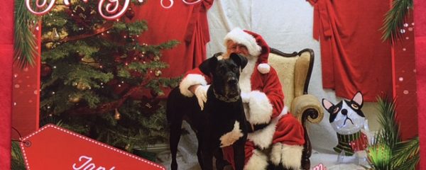 Tank and Santa