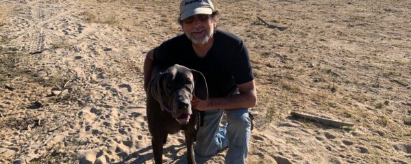 Doug and Peggy Have A New Dane!