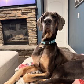 Otis- Courtesy Post